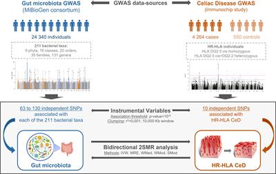 Two-Sample Mendelian Randomization detects bidirectional causality between gut microbiota and celiac disease in individuals with high genetic risk